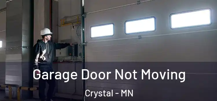 Garage Door Not Moving Crystal - MN