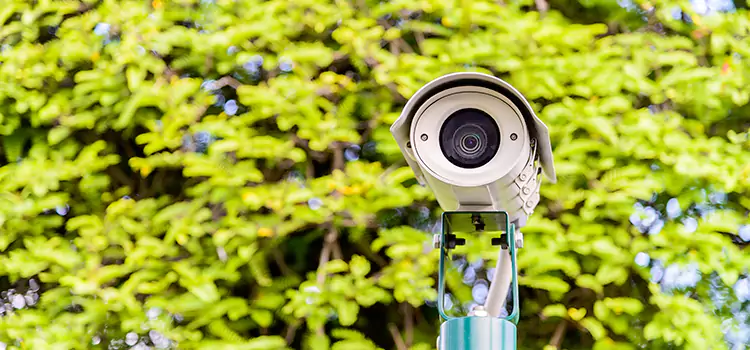Advanced Surveillance Solutions for Every Need in Crystal