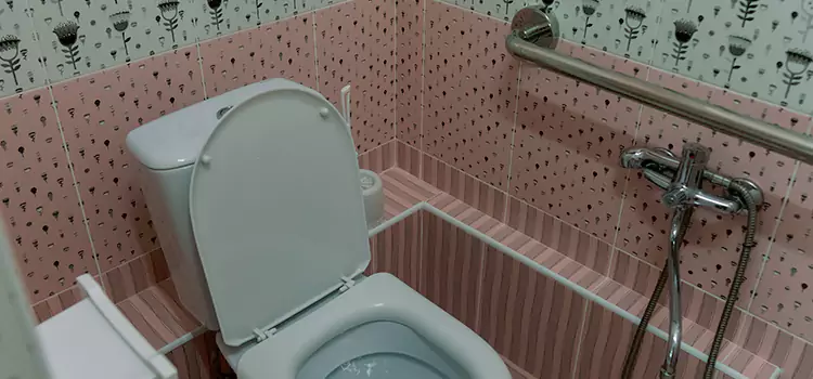 Meeting Diverse Needs With Accessible Restroom Solutions in Crystal, MN