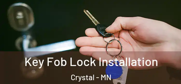  Key Fob Lock Installation Crystal - MN